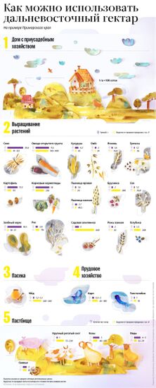 Как можно использовать дальневосточный гектар