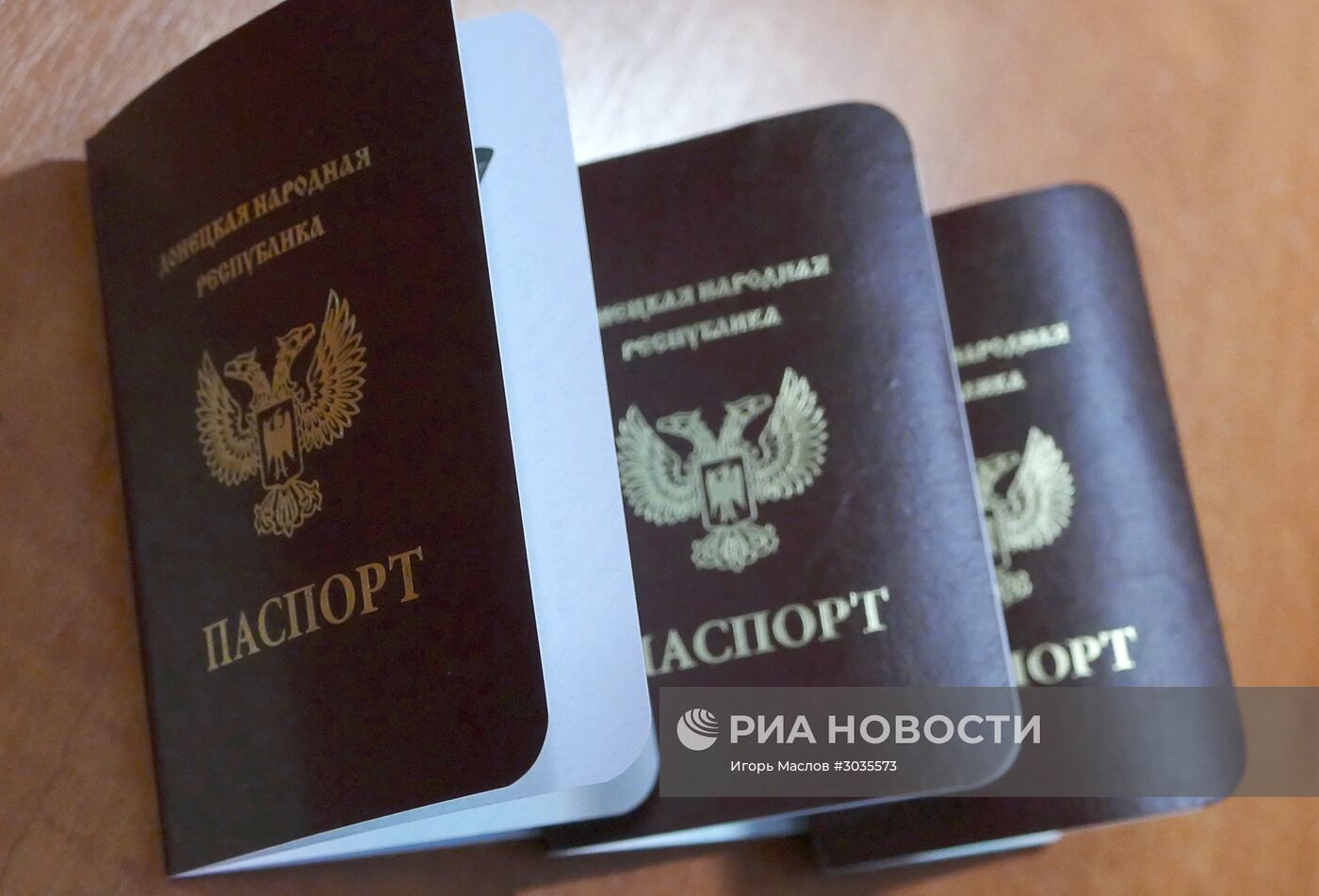Оформление и выдача паспортов ДНР