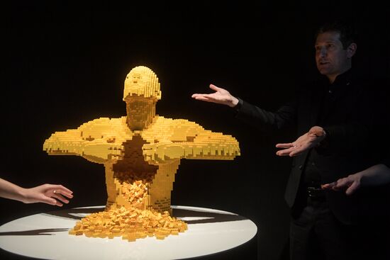 Выставка "Искусство LEGO