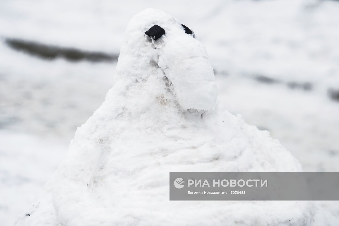 Интернет-мема Ждуна слепили из снега в Москве