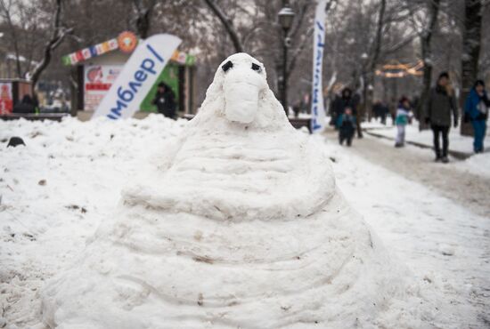 Интернет-мема Ждуна слепили из снега в Москве