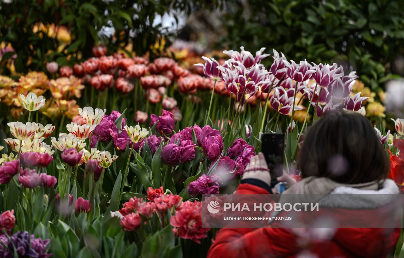 III выставка "Репетиция весны"