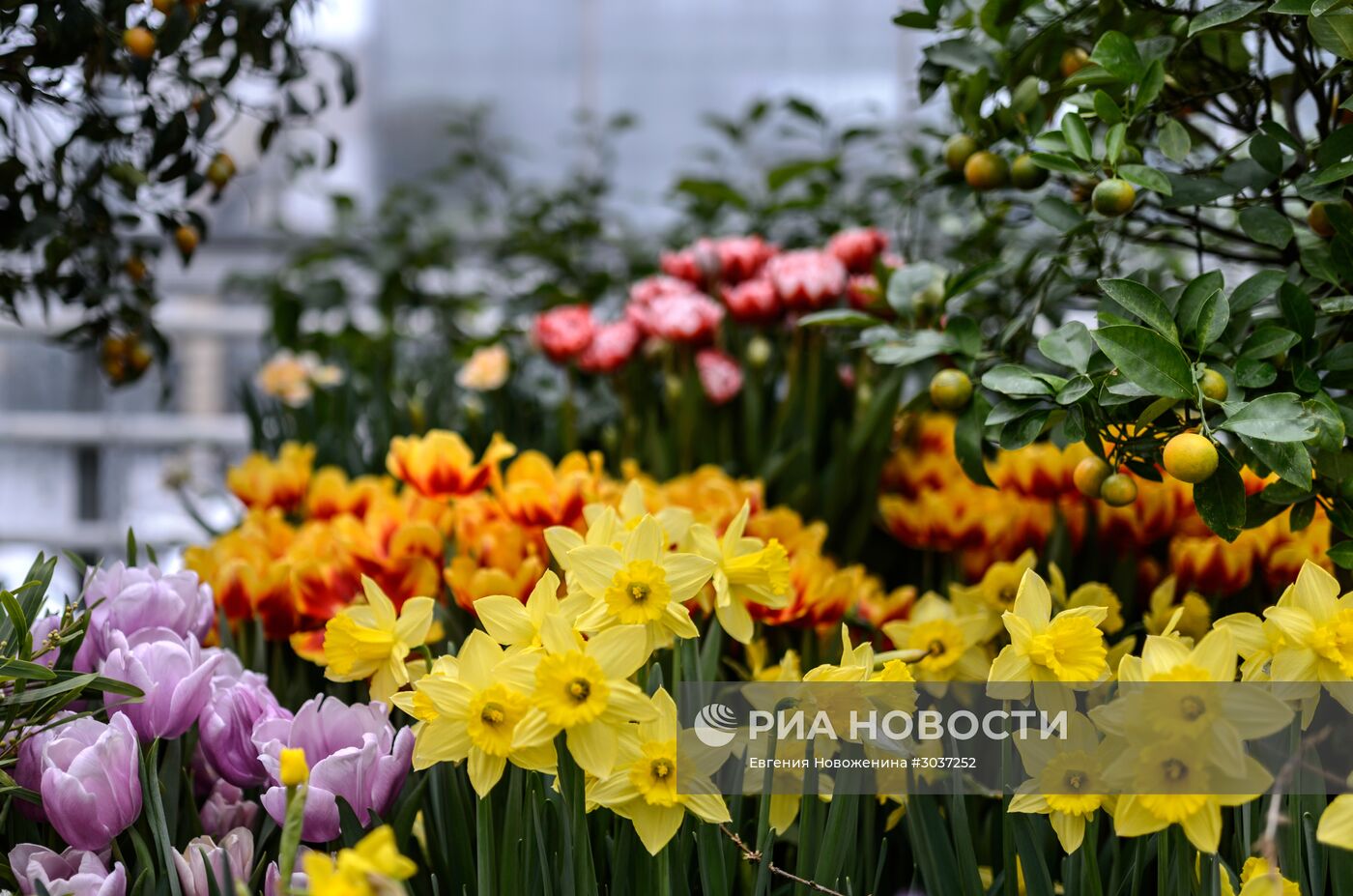 III выставка "Репетиция весны"