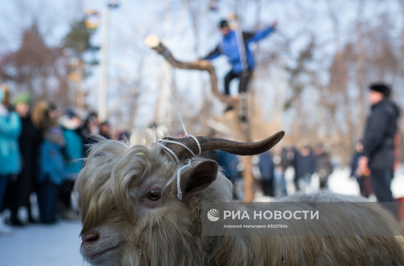 Празднование Масленицы в Омской области