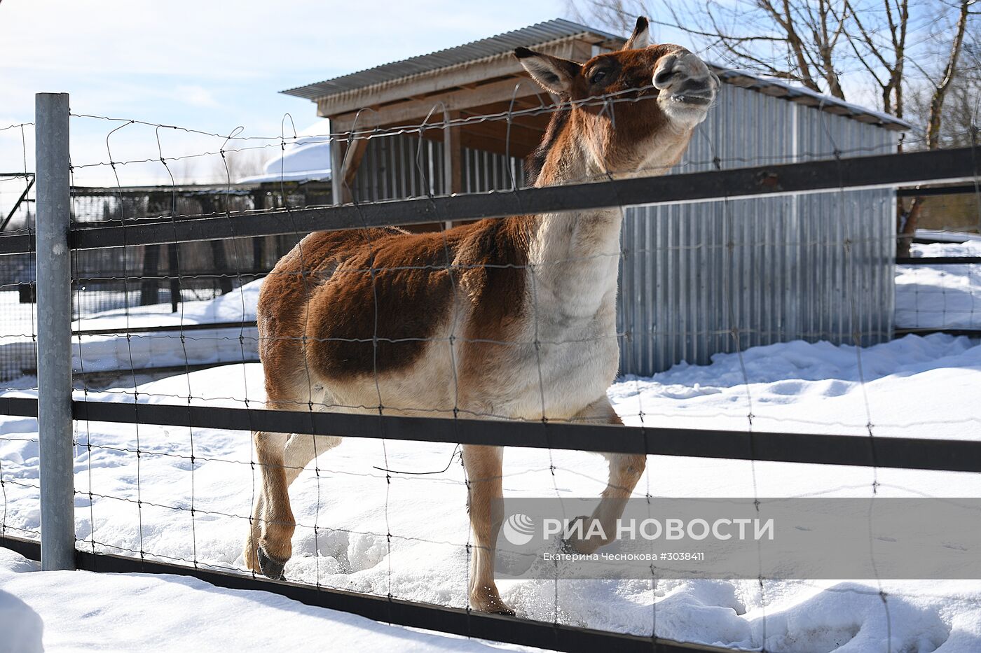 Московский зоопарк провел выездную экскурсию