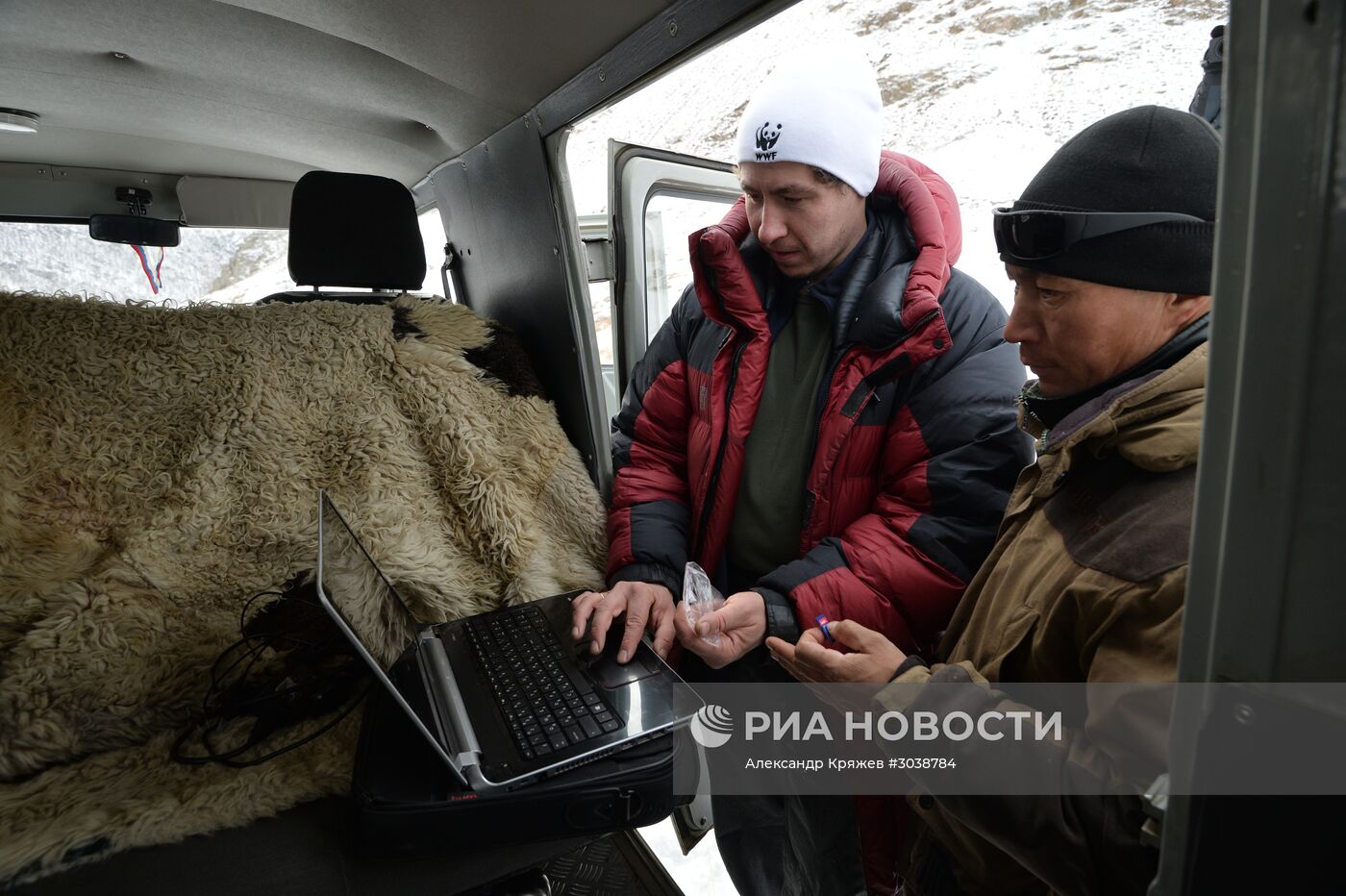 Первый сплошной учет численности снежного барса в России
