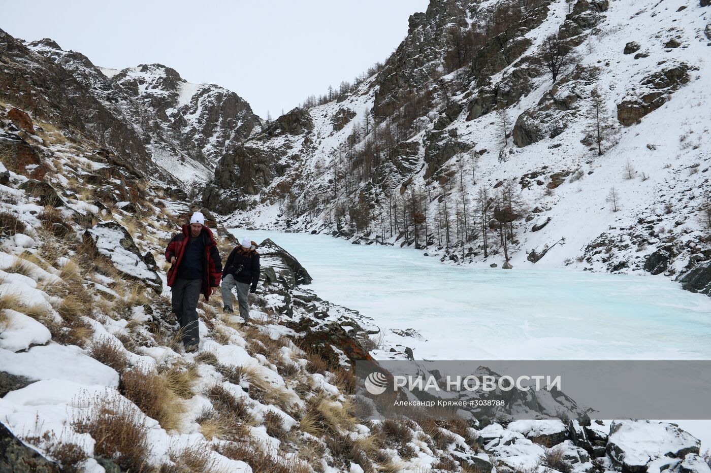 Первый сплошной учет численности снежного барса в России