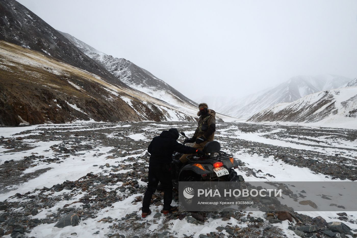 Первый сплошной учет численности снежного барса в России