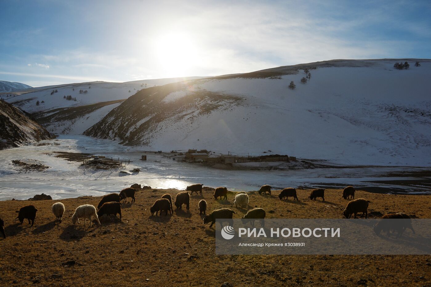 Кош-Агачский район Республики Алтай