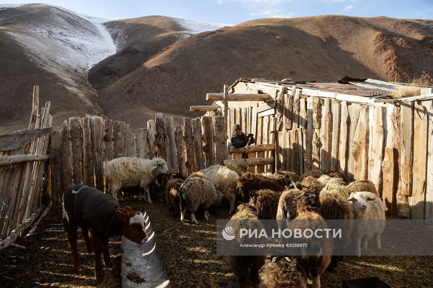 Кош-Агачский район Республики Алтай