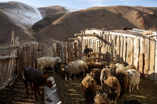 Кош-Агачский район Республики Алтай