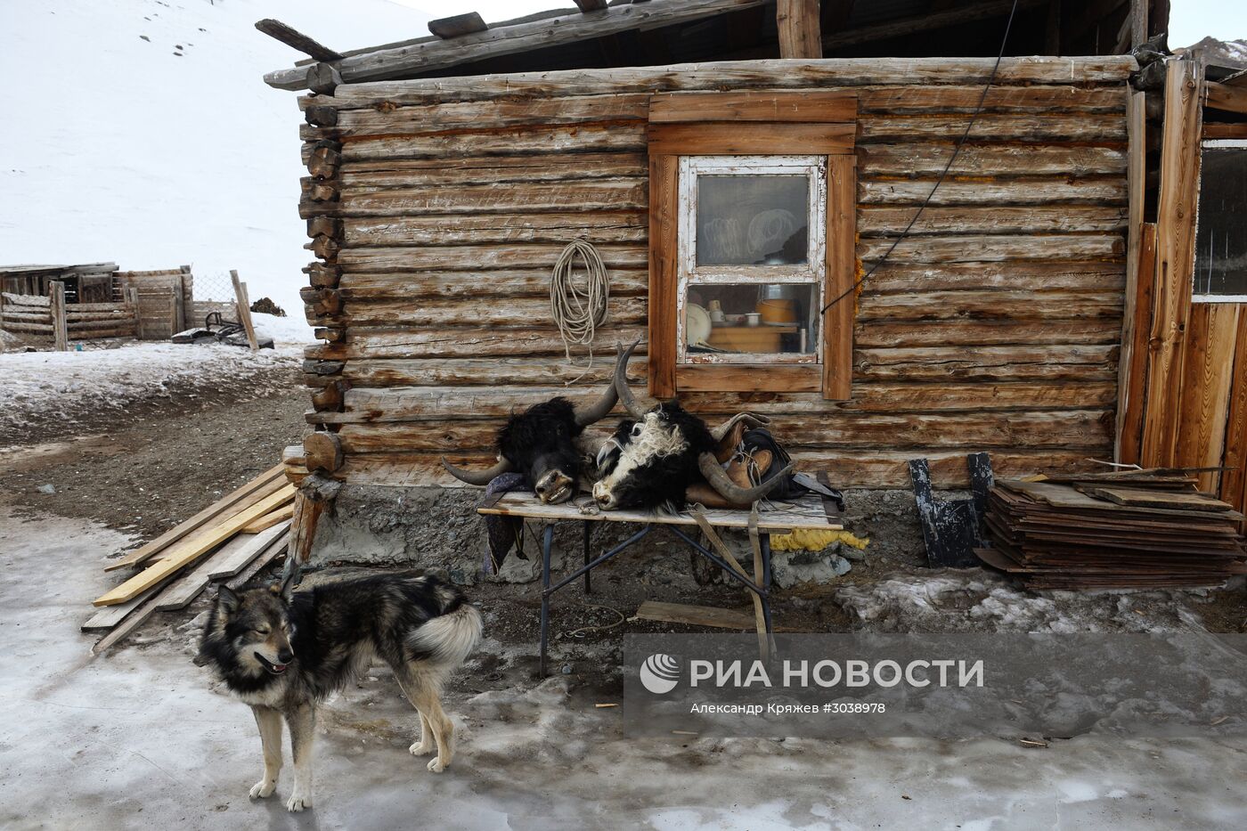 Кош-Агачский район Республики Алтай