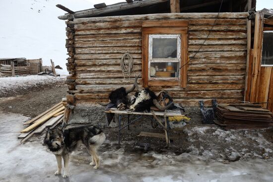 Кош-Агачский район Республики Алтай