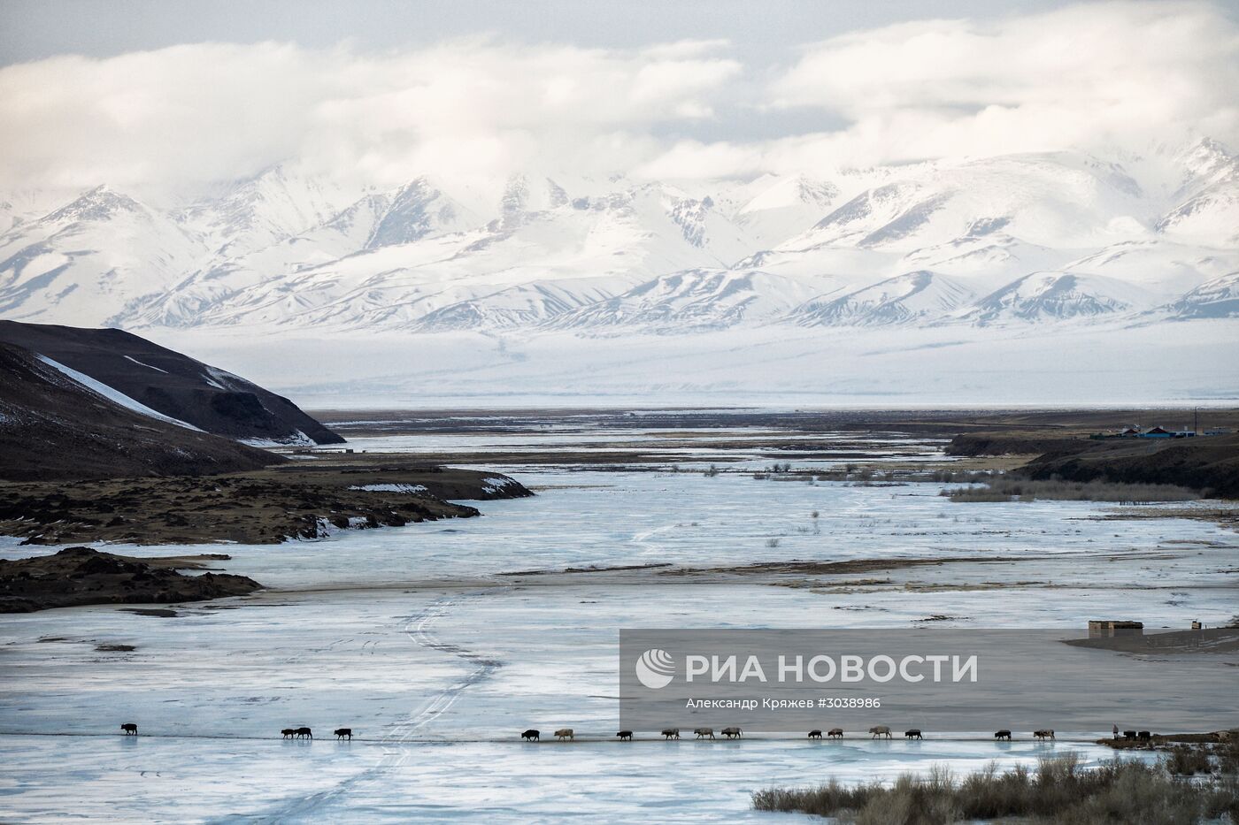 Кош-Агачский район Республики Алтай