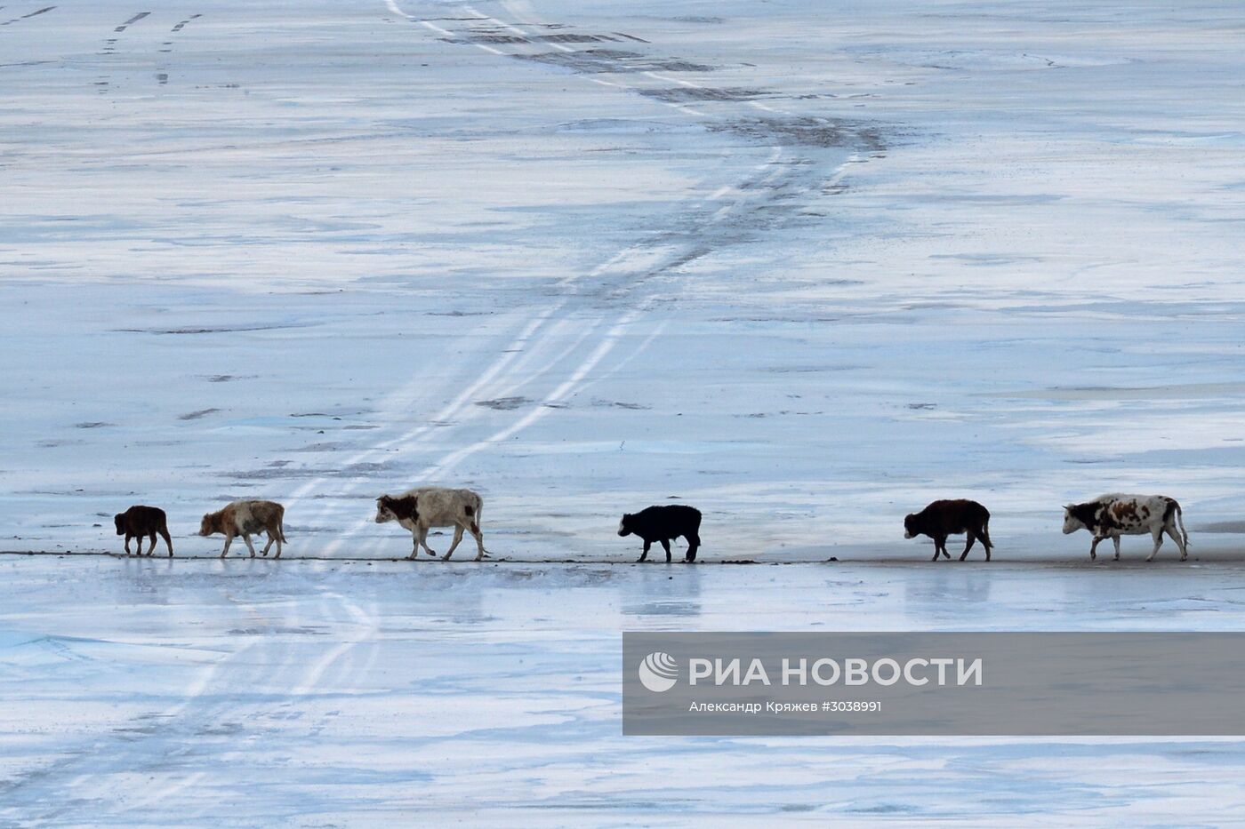 Кош-Агачский район Республики Алтай