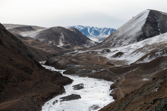 Кош-Агачский район Республики Алтай
