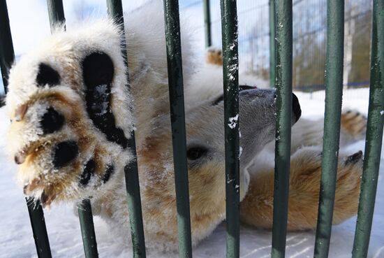 Московский зоопарк провел выездную экскурсию