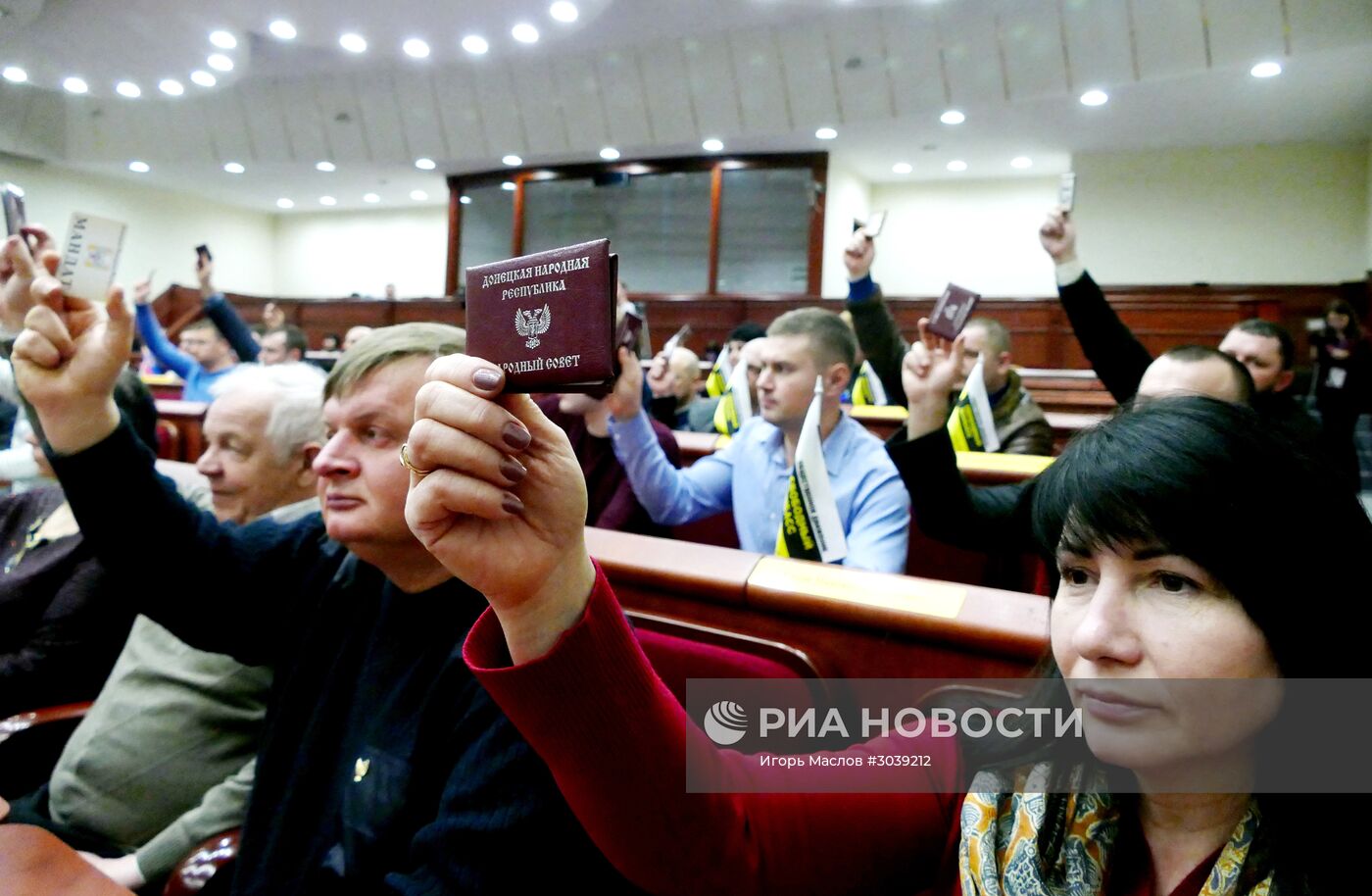 Пленарное заседание Народного Совета ДНР