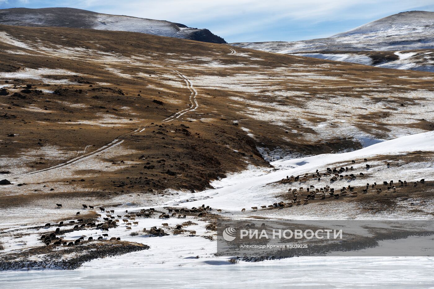 Кош-Агачский район Республики Алтай