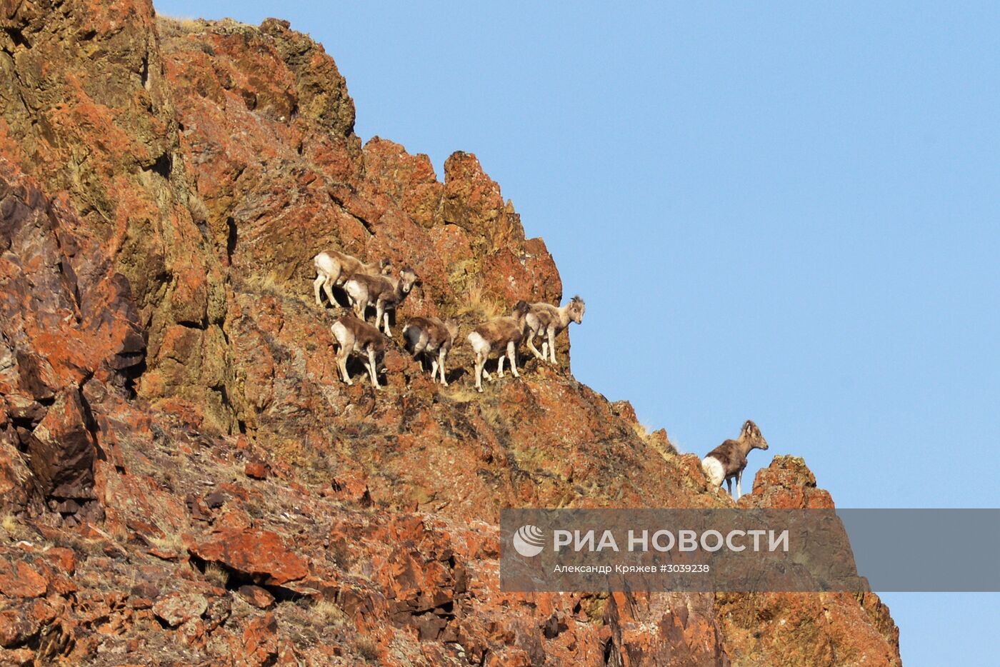 Кош-Агачский район Республики Алтай