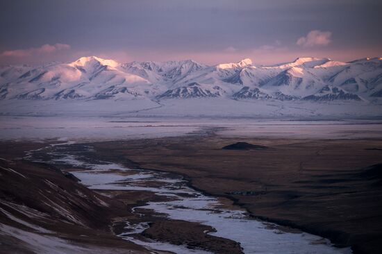Кош-Агачский район Республики Алтай