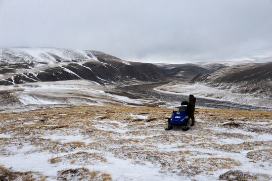 Кош-Агачский район Республики Алтай