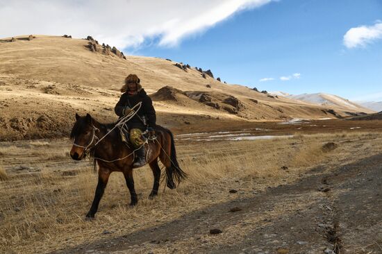 Кош-Агачский район Республики Алтай