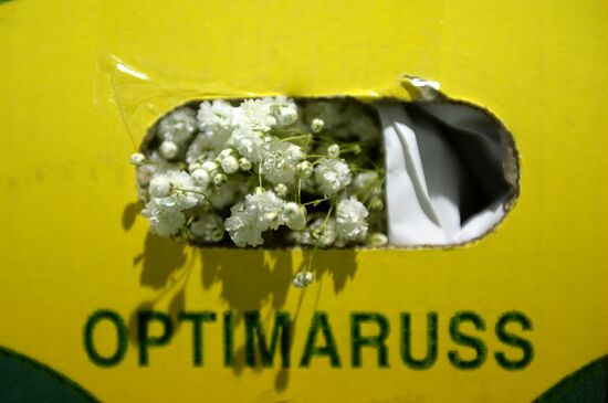 Доставка цветов из Голландии к 8 марта