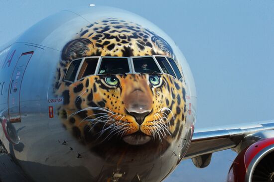 Лайнер с изображением дальневосточного леопарда совершил первый рейс во Владивосток
