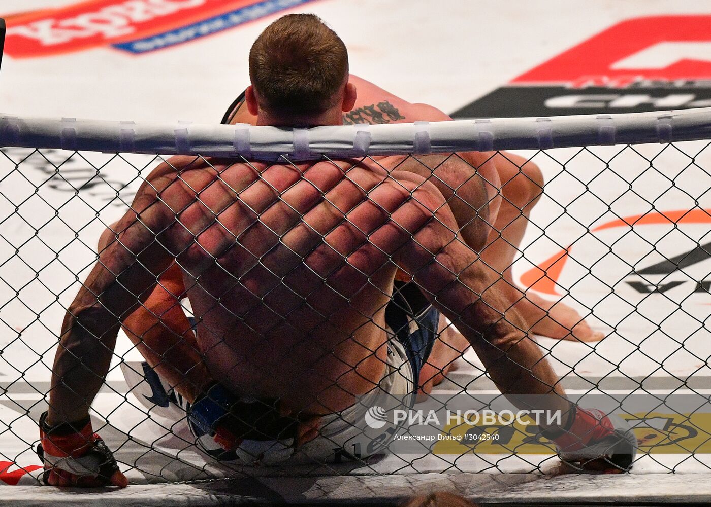 Международный турнир по смешанным единоборствам M-1 Challenge 75
