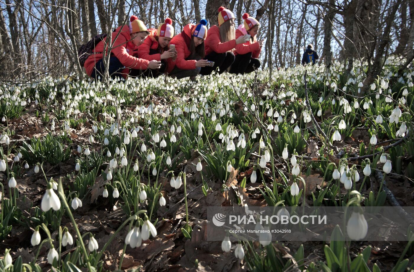 Большой экологический марафон "Моя цветущая планета" стартовал в детском центре "Артек"