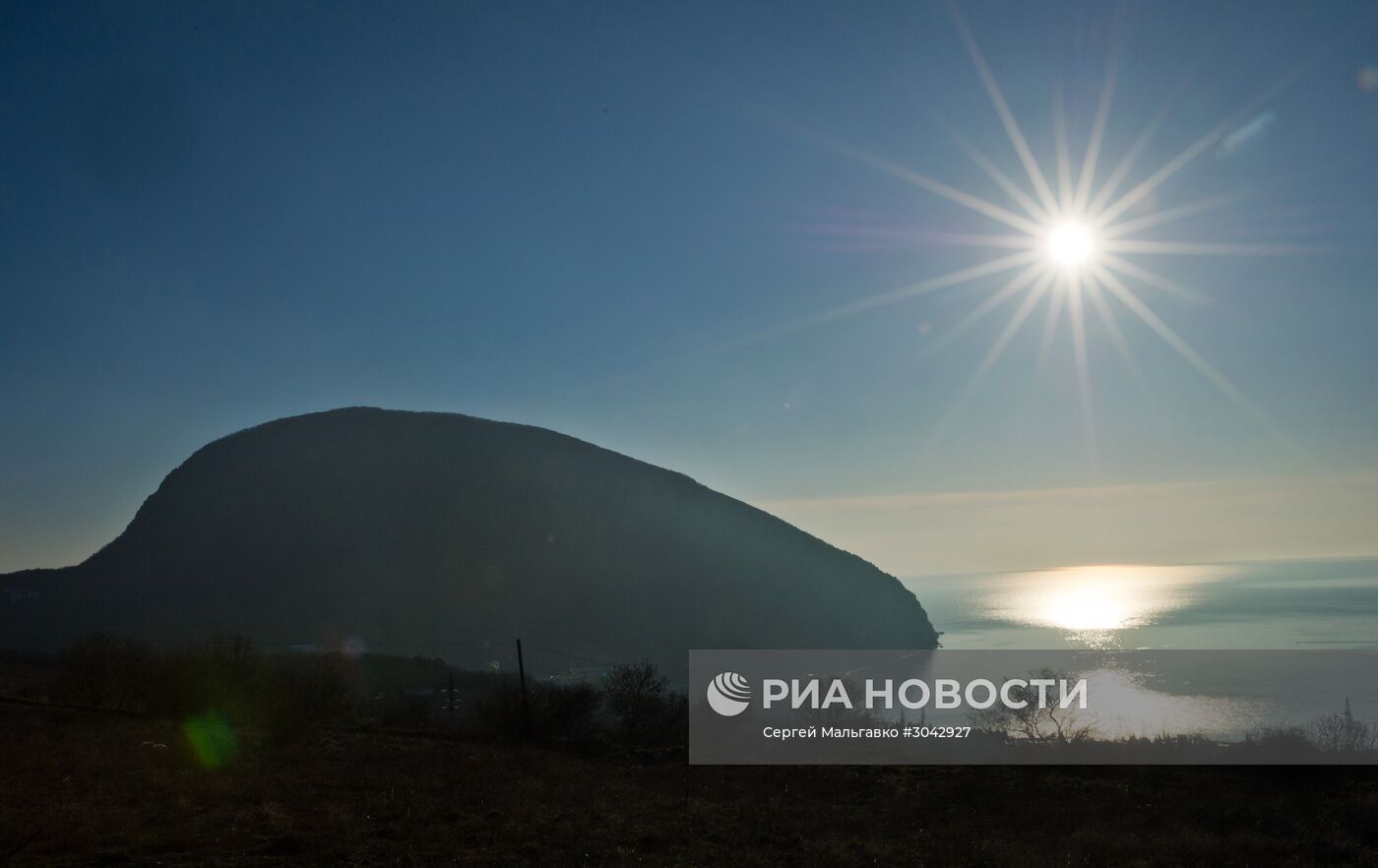 Большой экологический марафон "Моя цветущая планета" стартовал в детском центре "Артек"