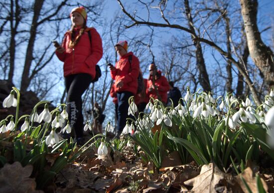 Большой экологический марафон "Моя цветущая планета" стартовал в детском центре "Артек"