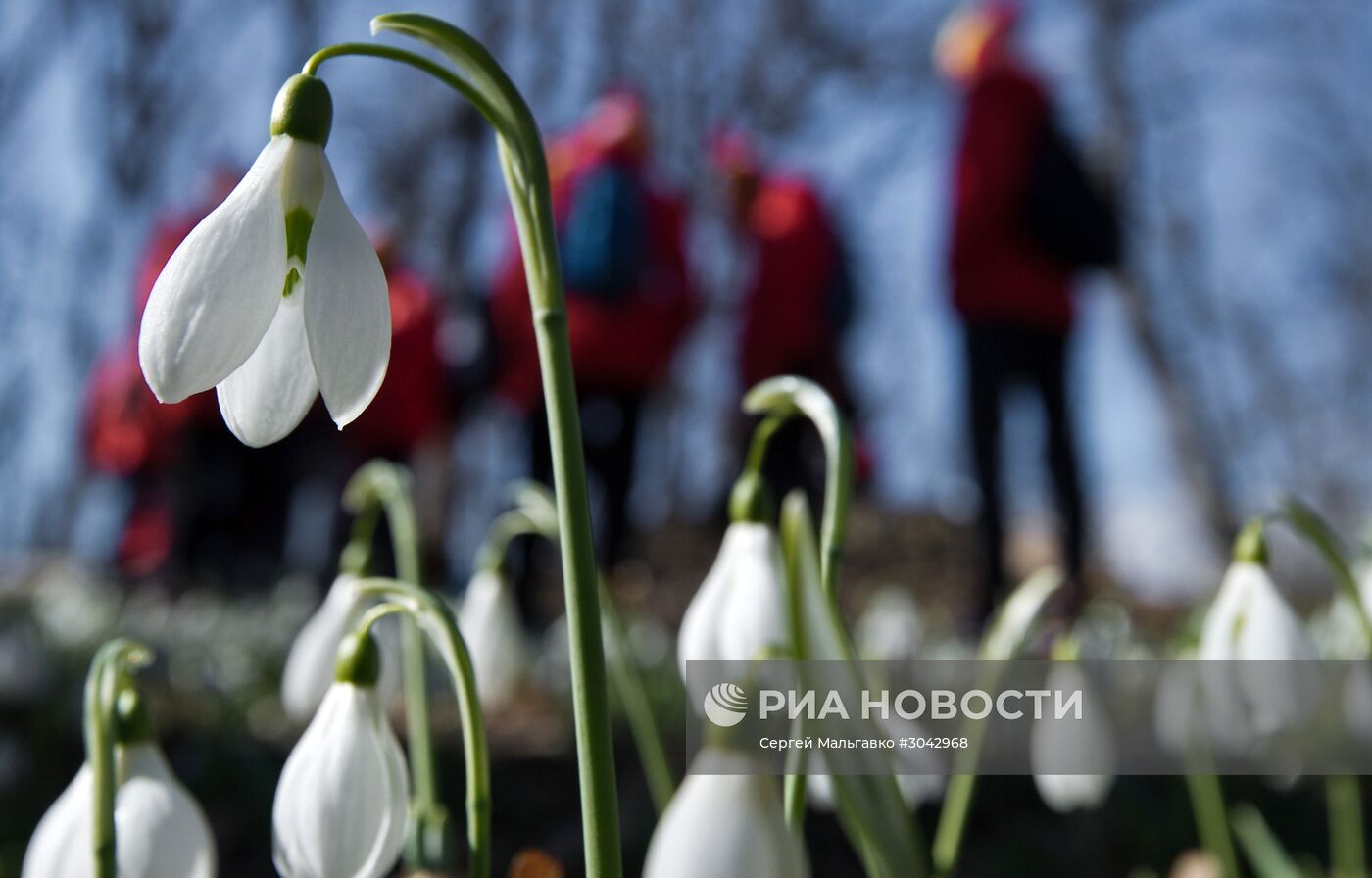 Большой экологический марафон "Моя цветущая планета" стартовал в детском центре "Артек"