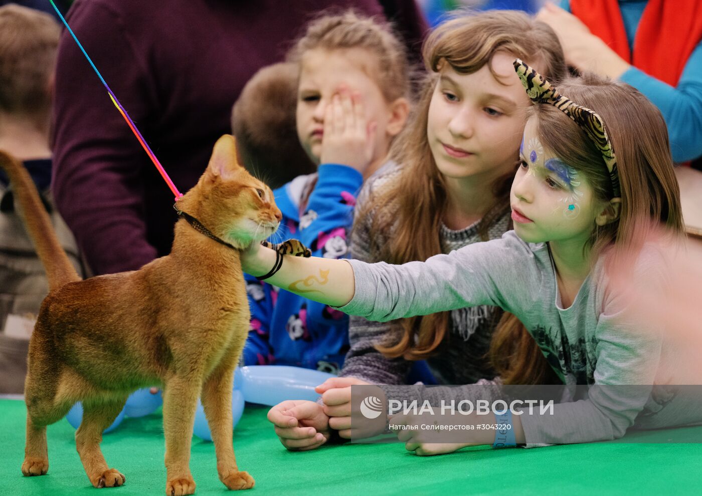 Выставка "Кэтсбург 2017"