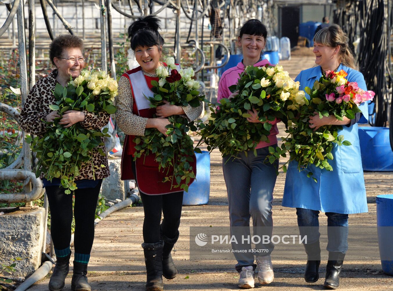 Выращивание цветов к 8 марта в Приморском крае