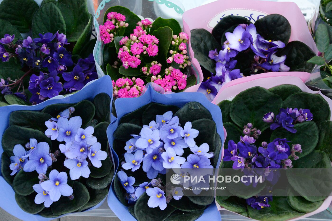 Цветы к 8 Марта в Грозном