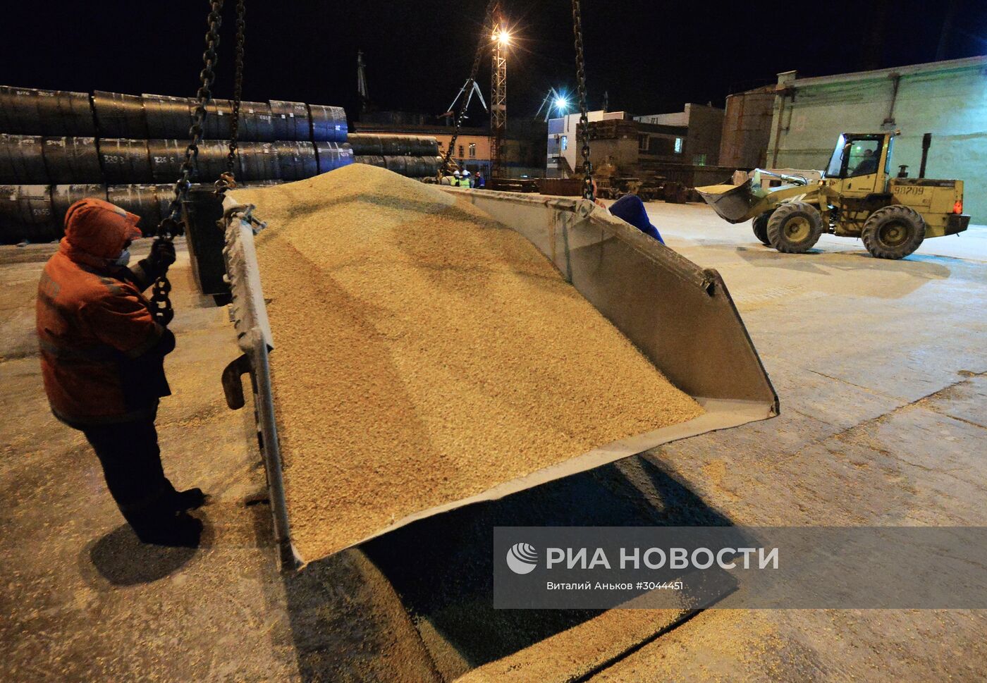 Экспорт российской кукурузы из России в Японию