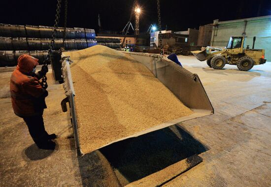Экспорт российской кукурузы из России в Японию