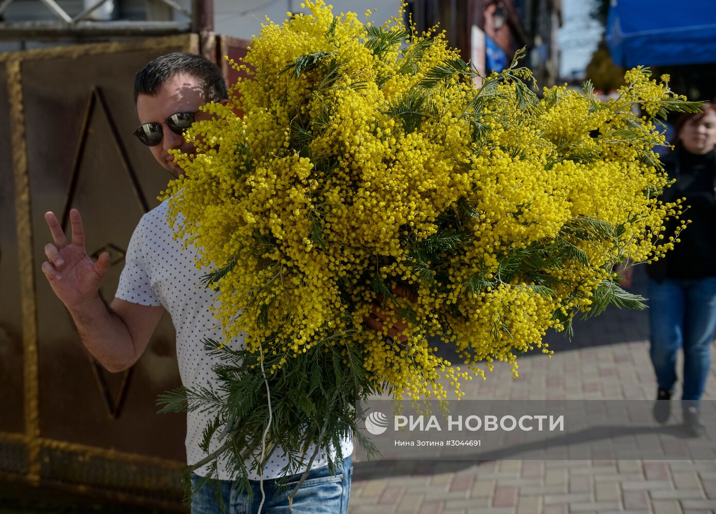 Мимозы из Абхазии на российско-абхазской границе