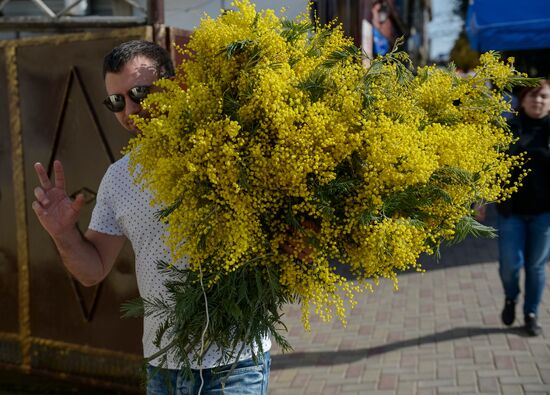 Мимозы из Абхазии на российско-абхазской границе