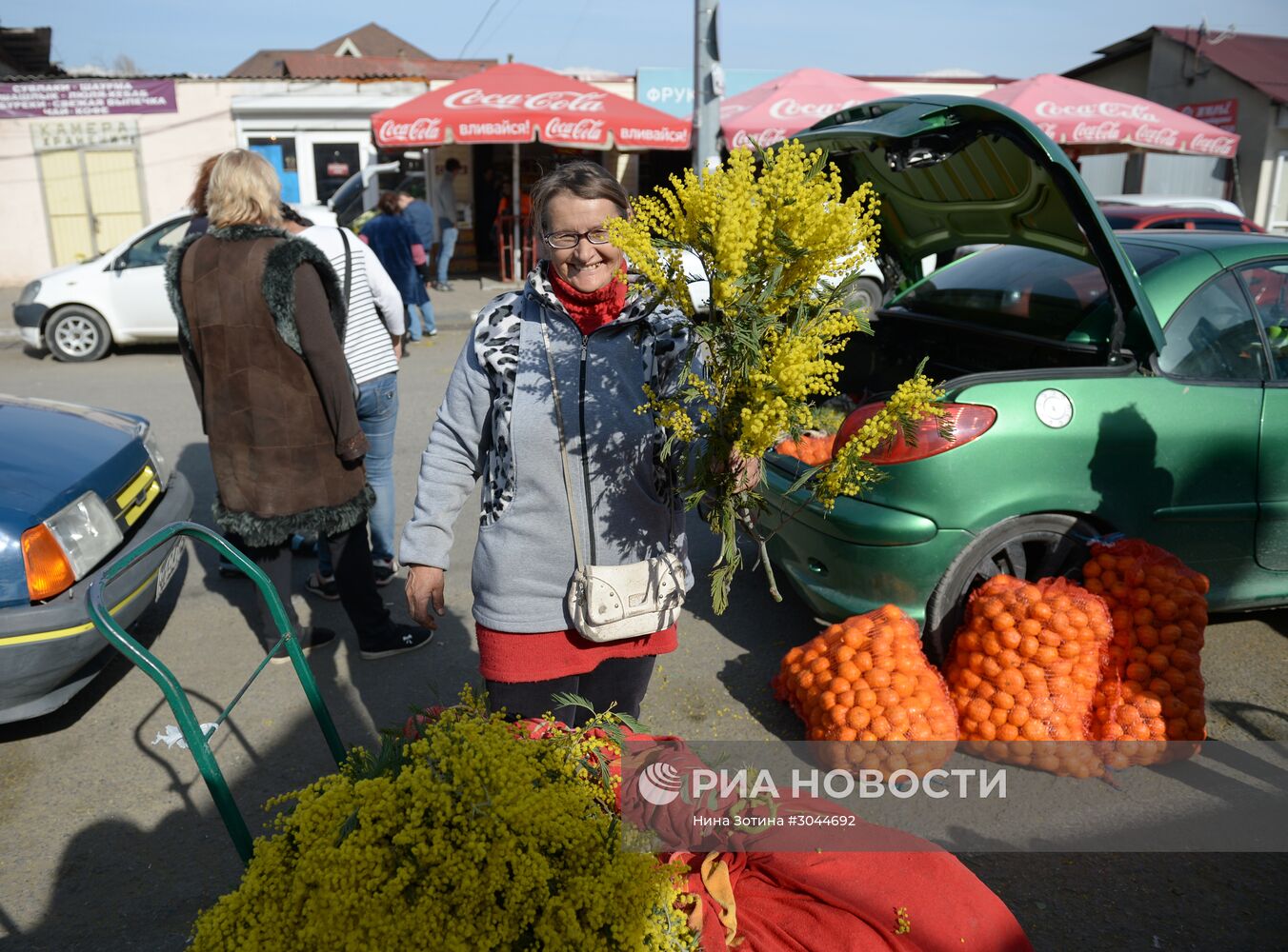 Мимозы из Абхазии на российско-абхазской границе