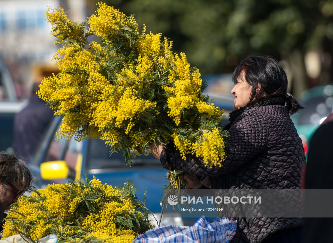 Мимозы из Абхазии на российско-абхазской границе