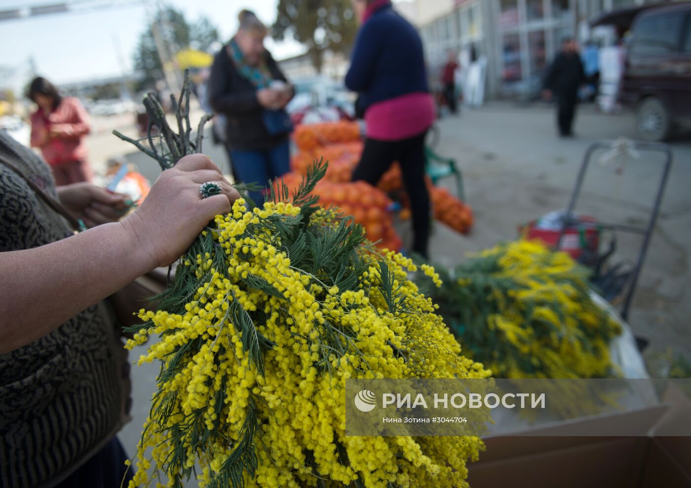 Мимозы из Абхазии на российско-абхазской границе