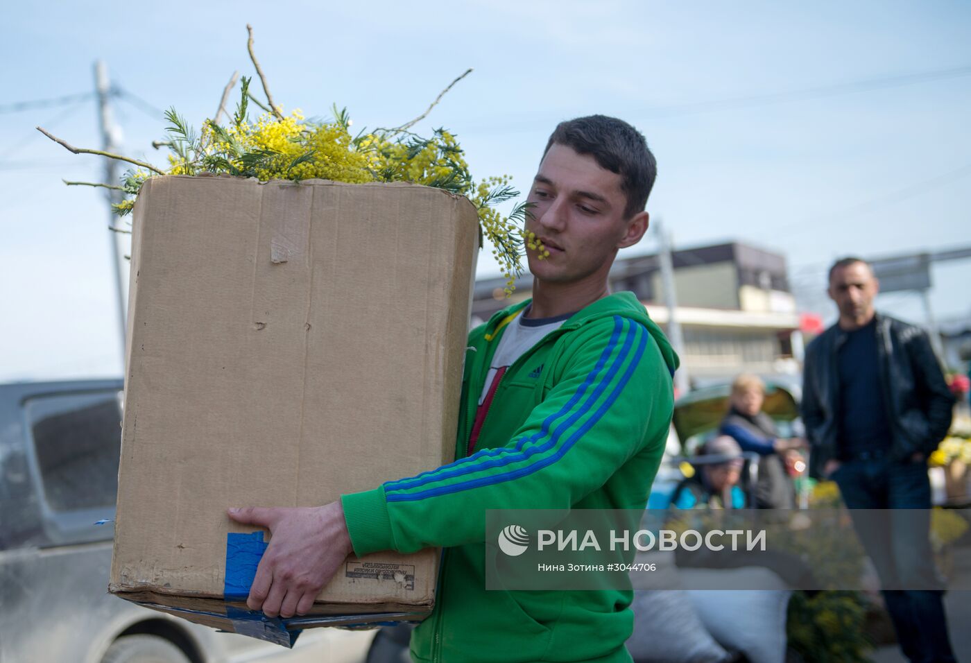 Мимозы из Абхазии на российско-абхазской границе