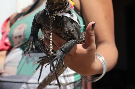 Страны мира. Куба