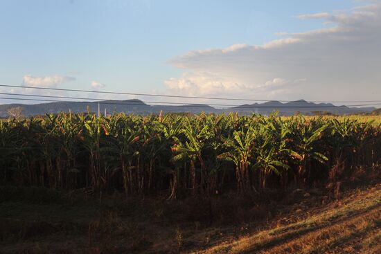 Страны мира. Куба