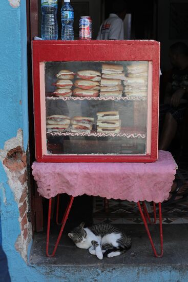 Страны мира. Куба