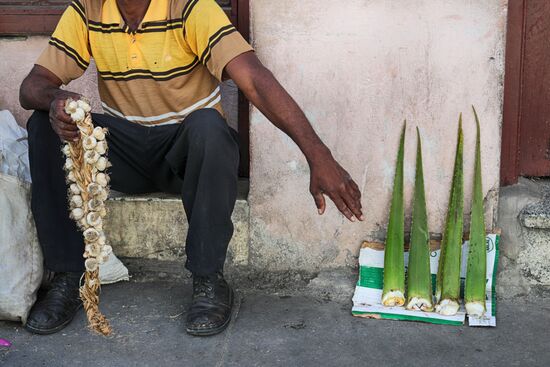 Страны мира. Куба