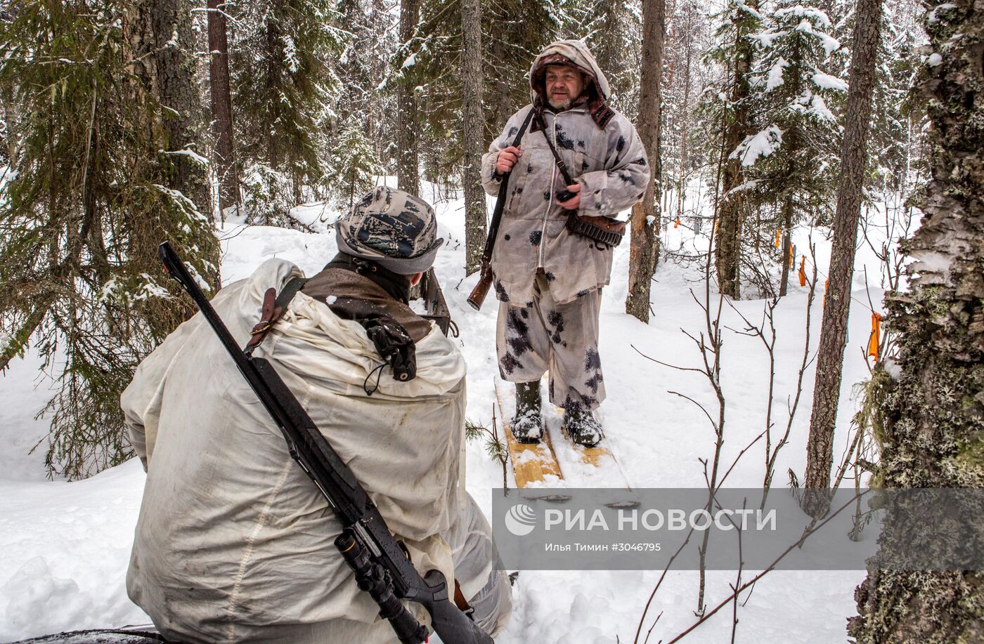 Охота на волков в Карелии